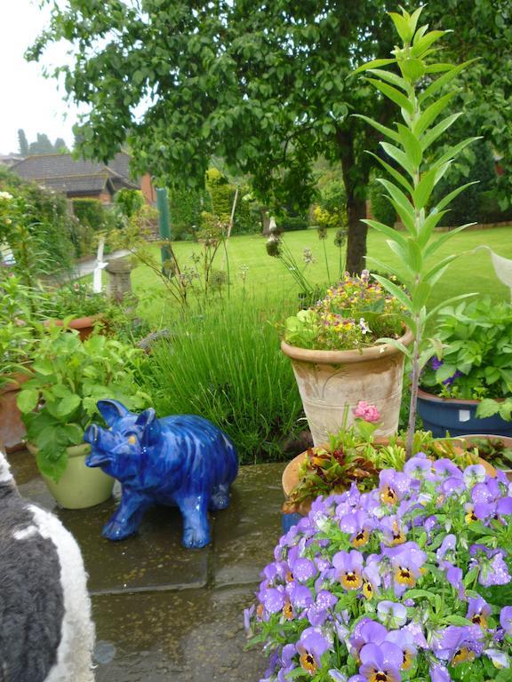Hopewell Self-Catering Lägenhet Gravesend Exteriör bild